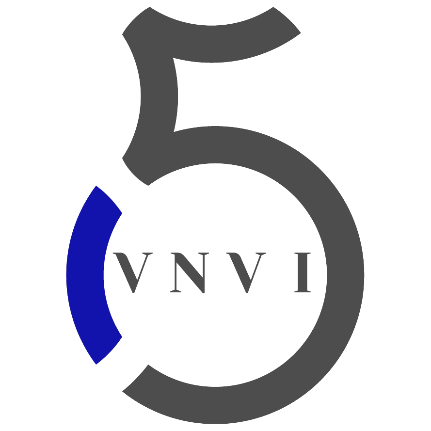 VNVI Systems logo